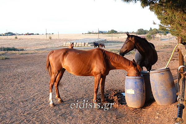 DSC08587.jpgFB.jpg