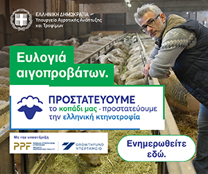 Ευλογιά 300x250