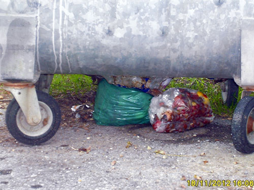 skoupidia-poluxronidhs