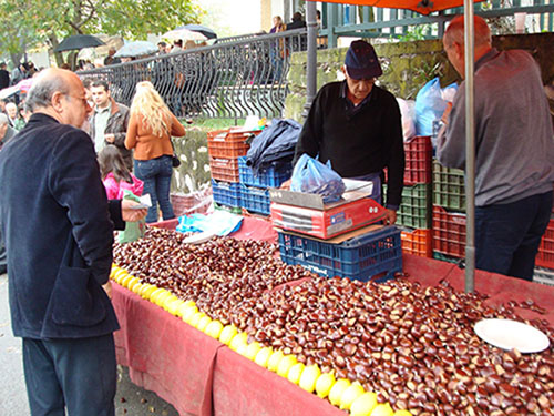 giorth-kastanou-griva