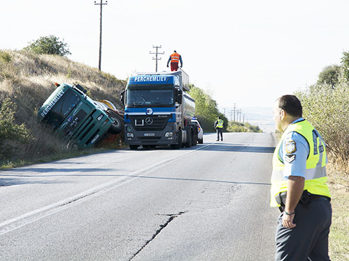 vitioforo-anatroph-doiranh