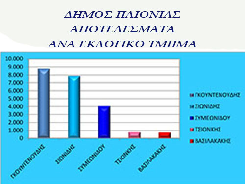 telika-dhmou-paionias-analytika