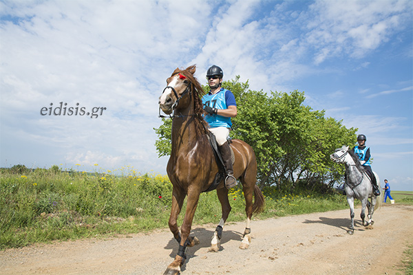 RANTSO ΑΓΩΝΕΣ ΑΝΤΟΧΗΣ 2016