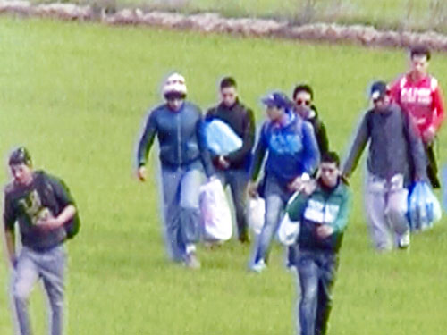 lathrometanastes-euzonoi