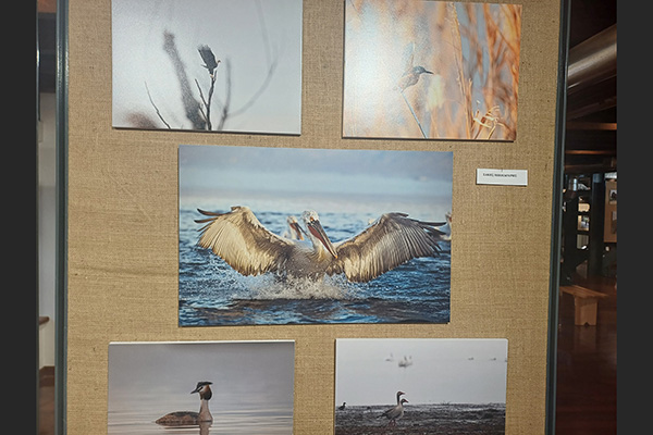 ΕΚΘΕΣΗ ΦΩΤΟΓΡΑΦΙΚΗΣ ΟΜΑΔΑΣ ΚΙΛΚΙΣ 10φβ