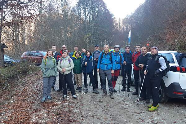 Πάικο 9 11 252φβ