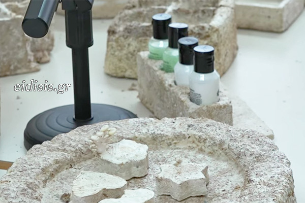 Στιγμιότυπο οθόνης 2026 03 02 113523