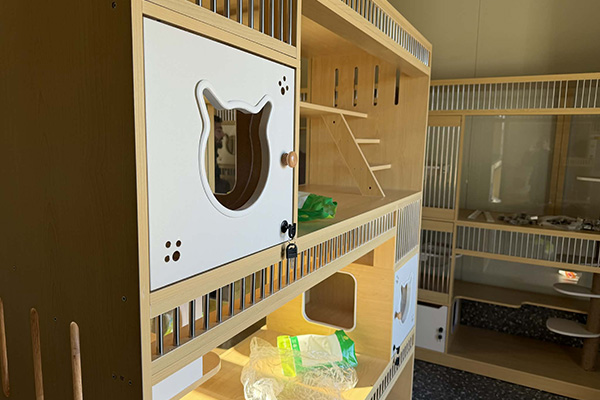 εικόνα Viber 2026 01 23 15 05 33 744.jpgφβ