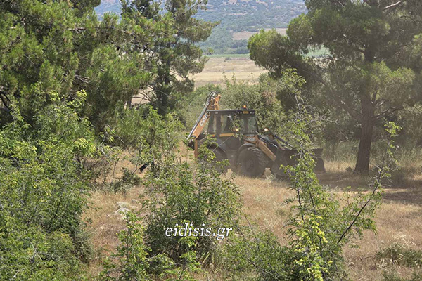 εικόνα_Viber_2026-06-30_12-37-54-560.jpgφβ.jpg