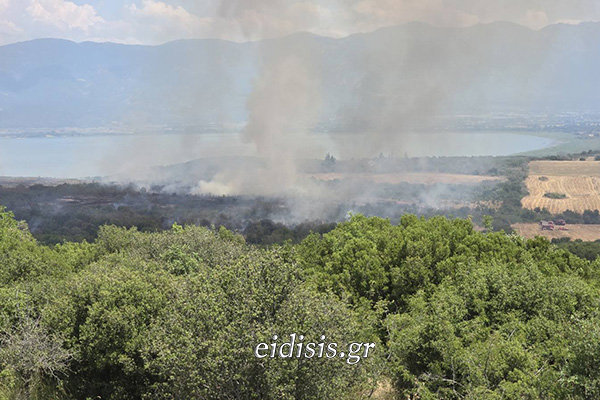 εικόνα_Viber_2026-06-30_12-37-57-758.jpgφβ.jpg
