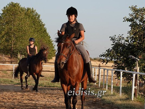 Τρεις ημέρες γεμάτες άλογα, φύση και παιχνίδι – Ένα ξεχωριστό summer camp του Ιππικού Ομίλου Κιλκίς