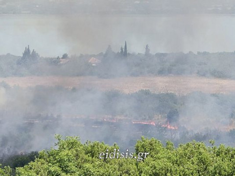 Πυρκαγιά στα ελληνοσκοπιανά σύνορα στη Δοϊράνη – Σε επιφυλακή ισχυρές πυροσβεστικές δυνάμεις