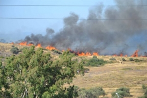 Πυρκαγιά σε εξέλιξη στο Ζευγολατιό Κορινθίας