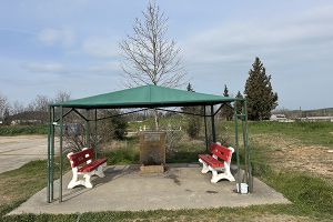 Περιβαλλοντικός Περιπατητικός Σύλλογος Κιλκίς για την παγκόσμια ημέρα Δασοπονίας - Δασών