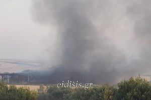 Μεγάλη φωτιά ξέσπασε ανάμεσα σε Κ. Απόστολους και Νέο Γυναικόκαστρο - Στις φλόγες μεγάλη κτηνοτροφική μονάδα