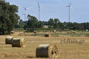 Ξεκινούν οι αιτήσεις μεταβιβάσεων δικαιωμάτων ενίσχυσης - Καταληκτική ημερομηνία υποβολής 25/07/22
