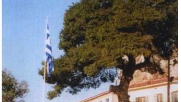 Θεσσαλονίκη: Το πεύκο του Επταπυργίου, ηλικίας 130 χρόνων, πρέπει να απομακρυνθεί