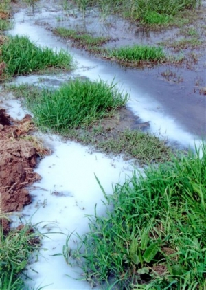 Στο ευρωπαϊκό δικαστήριο η Ελλάδα για τη ρύπανση των υδάτων