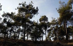Σέιχ Σου: Με το αυτόνομο σύστημα ανίχνευσης πυρκαγιών ενισχύεται η αντιπυρική προστασία