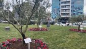 Θεσσαλονίκη: Αφαίρεσαν τις ταμπέλες με τα ονόματα των θυμάτων οπαδικής βίας από το Πάρκο Αθλητικής Φιλίας