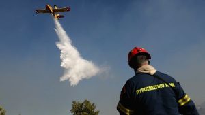Βελτιωμένη η κατάσταση της πυρκαγιάς στην Άσσηρο – Σημαντική η κινητοποίηση των πυροσβεστικών δυνάμεων