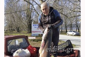 Στα 50 κιλά ο γουλιανός της Δοϊράνης!