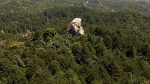 Απαγόρευση κυκλοφορίας στη Χαλκιδική λόγω επικίνδυνων δασικών πυρκαγιών