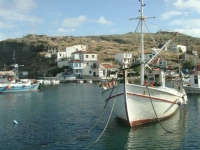 Σε κατάσταση έκτακτης ανάγκης ο Αγιος Ευστράτιος λόγω ακρίδων