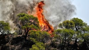 Συναγερμός για πυρκαγιά σε δασική έκταση στο Μυρτόφυτο Παγγαίου Καβάλας