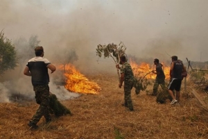 Πάνω από 220 δασικές πυρκαγιές σε όλη τη χώρα το τριήμερο