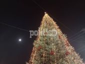 Ταξιάρχης Χαλκιδική: Αύριο θα φωταγωγηθεί το ύψους δεκατριών μέτρων Χριστουγεννιάτικο δέντρο