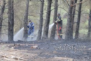 Κινδύνεψε να καεί ο πευκόφυτος Λόφος του Αγίου Γεωργίου στο Κιλκίς (ΒΙΝΤΕΟ-ΦΩΤΟ)