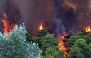 Υπό μερικό έλεγχο τέθηκε η πυρκαγιά στα Καρδάμυλα της Χίου