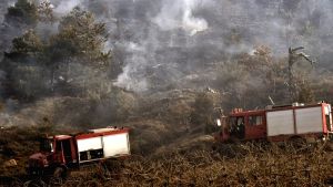 Πυρκαγιά σε χαμηλή βλάστηση στο Ασβεστοχώρι Θεσσαλονίκης