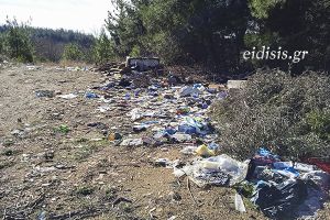 Φιλοπεριβαλλοντική δράση καθαρισμού στο περιαστικό δάσος του Λόφου Αγίου Γεωργίου