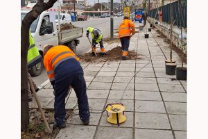 Δενδροφυτεύσεις στο Πολύκαστρο για μια πιο όμορφη πόλη