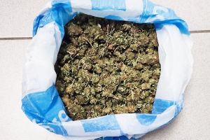 Σύλληψη για κάνναβη από τους Αστυνομικούς του Κιλκίς σε περιοχή της Πέλλας