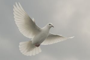 Συλλυπητήριο Ν.Ε. ΠΑΣΟΚ Κιλκίς για την απώλεια της Ελένης Παραστατίδου