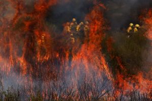 Ισπανία: Σφοδρή μάχη με τις φλόγες σε 14 μέτωπα – Αυξάνονται οι νεκροί στους επτά