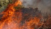 Βελτιωμένη η κατάσταση της πυρκαγιάς στον Μανδρότοπο Δράμας – Σε εξέλιξη η πυρκαγιά στον δήμο Πρεσπών