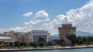 Θεσσαλονίκη: Εργασίες κοπής δέντρων και σήμερα στην Εθνική Οδό Θεσσαλονίκης – Αεροδρομίου