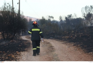 Πυρκαγιά σε δασική έκταση στις Σπέτσες
