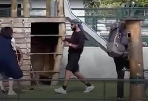 Επίθεση του Σύρου στη Γαλλία: Δύο ξαδέρφια μεταξύ των τραυματιών – Ο 24χρονος που καταδίωξε τον δράστη