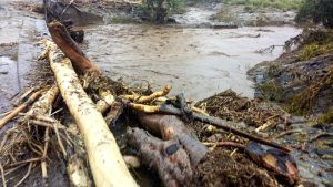 Τραγωδία στην Κένυα: 21 νεκροί και 31 αγνοούμενοι από κατολίσθηση