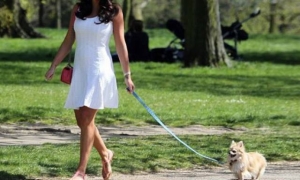 Δεν επιτρέπεται το τάϊσμα των αδέσποτων ζώων συντροφιάς σε πολυσύχναστους δρόμους και γειτονιές της πόλης