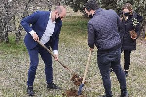 Δενδροφύτευση στο Δασάκι Πεδινού