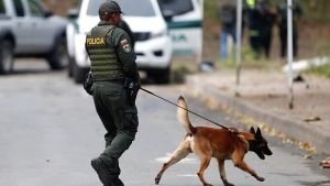 Τραγικές απώλειες αστυνομικών στην Κολομβία: Τέσσερις νεκροί από επιθέσεις αντάρτων