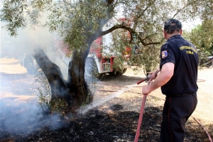ΚΚΕ και ΠαΣοΚ για τις πυρκαγιές