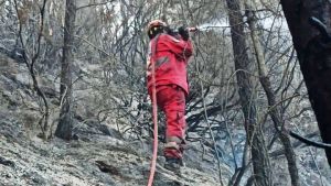 Θάσος: H πυρκαγιά του Αυγούστου έκαψε 2.770 στρέμματα