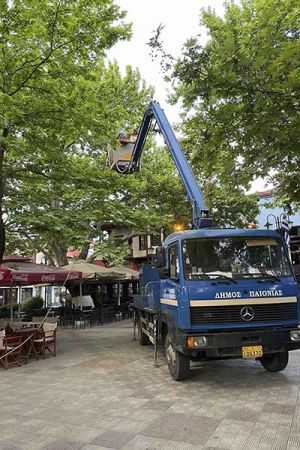 Ραντίζονται τα πλατάνια της Παιονίας